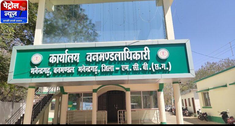 मनेंद्रगढ़ वन मंडल में नियमों की अनदेखी और कार्यप्रणाली पर उठे सवाल, जिम्मेदार चुप