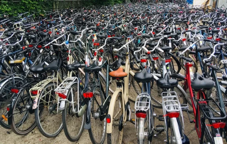 MP-सिंगरौली में शर्मनाक घोटाला: छात्रों की 23 साइकिलें चुराकर बेचने की फिराक में था प्रिंसिपल