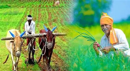 CG : डीएपी बना किसानों की नई ताकत – उत्पादन बढ़ाने के साथ लागत में भी कटौती