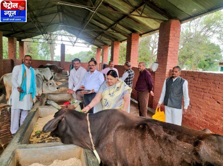 ग्रामोदय गौशाला में कुलगुरु प्रो भरत मिश्रा ने किया सपरिवार गोपूजा