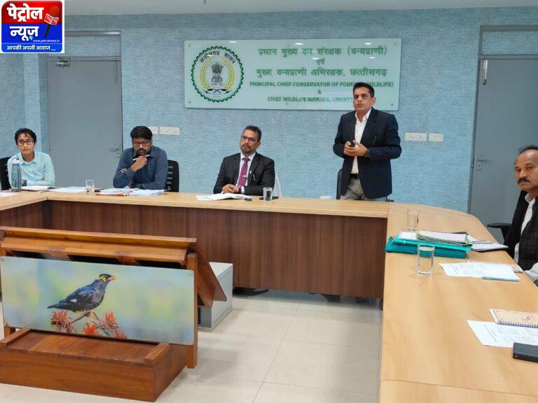 CG: छत्तीसगढ़ में वन भैंसा संरक्षण एवं स्थानांतरण पर उच्च स्तरीय बैठक