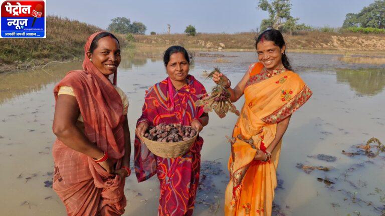 CG: महिला स्व-सहायता समूह की मेहनत रंग लाई, मछली पालन और सिंघाड़ा खेती से बढ़ी आमदनी