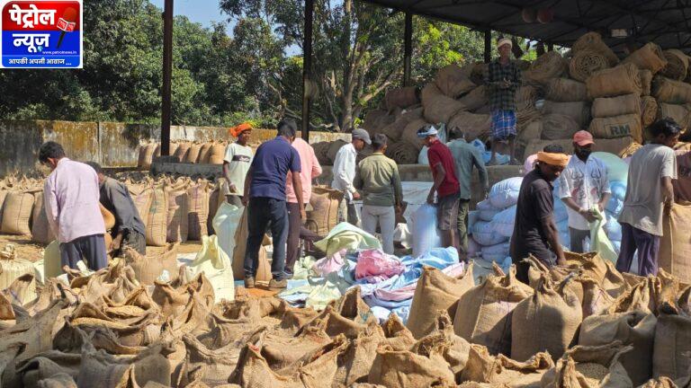 CG : सरगुजा जिले में अब तक साढ़े 3 लाख क्विंटल से अधिक अधिक धान की खरीदी