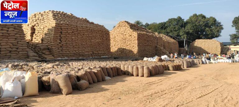 CG: धान खरीदी का महाअभियान