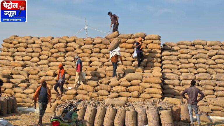 CG : सरगुजा जिले में धान उपार्जन की तेज प्रगति