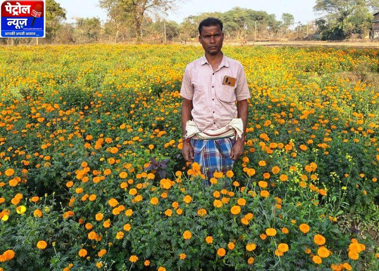 CG: धान से गेंदा फूल तक का सफर