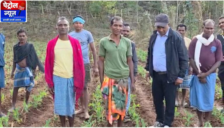 CG: मटर की खेती से मिली नई दिशा