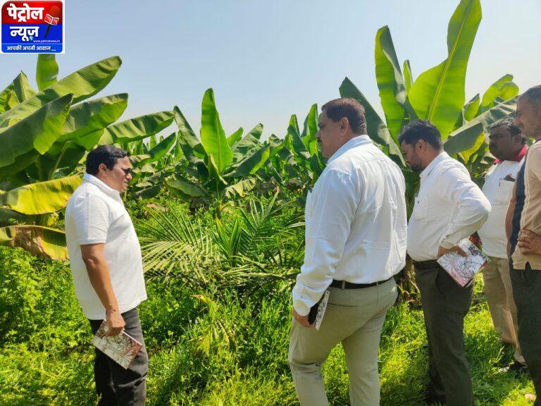 CG : खाद्य तेल में आत्मनिर्भरता की ओर छत्तीसगढ़