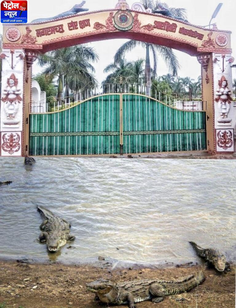 CG: मगरमच्छ संरक्षण से बदली कोटमीसोनार की तस्वीर