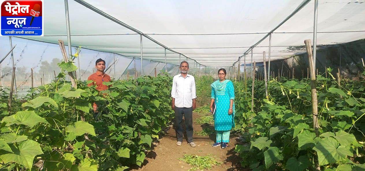 CG : राष्ट्रीय बागवानी मिशन: किसान मनीष मिश्रा ने खीरे की फसल से प्राप्त की 02 लाख रुपये की आमदनी