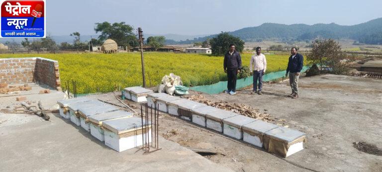 CG : मधुमक्खी पालन: कम लागत में ज्यादा मुनाफे का बेहतर विकल्प