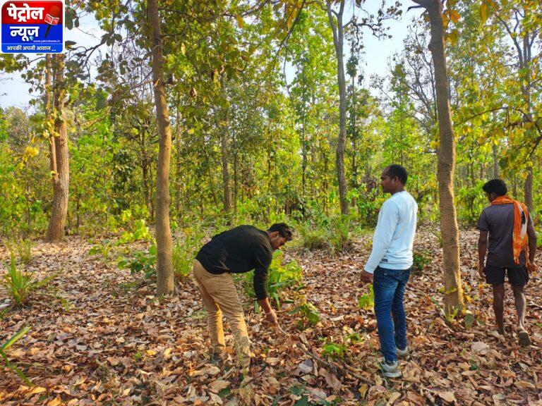 CG : बाघ गणना का कार्य सफलतापूर्वक संपन्न