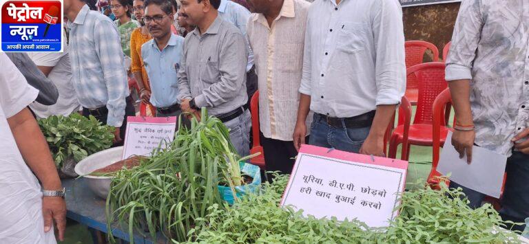 CG: हरी खाद से बदल रही खेती की तस्वीर : कम लागत, बेहतर मुनाफा और स्वस्थ मिट्टी