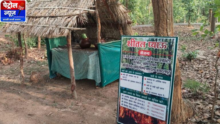 वन विकास निगम की अनूठी पहलरू सार्वजनिक प्याऊ से प्यास भी बुझा रहे, जंगलों को आग से भी बचा रहे
