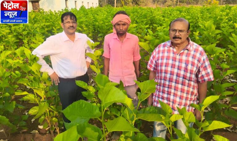 ​CG: ​धमतरी में रेशम की चमक: ‘सिल्क समग्र-2’ से संवर रही ग्रामीणों की तकदीर, किसान बन रहे आत्मनिर्भर