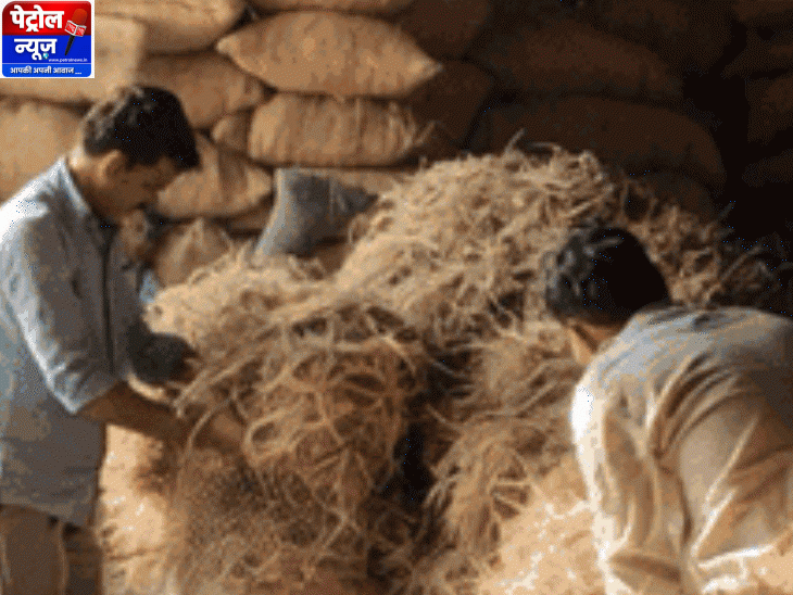 बरेली के शिक्षक आवारा मवेशियों के लिए चारा इकट्ठा करते हैं