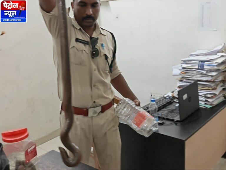 एमपी पुलिस तस्करी लिंक की जांच कर रही है; वन टीम जांच में जुटी