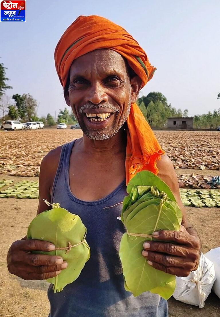 तेन्दूपत्ता संग्राहकों को मिली बड़ी राहत, पहले चरण में 12 हजार से अधिक हितग्राहियों के खातों में पहुंचे 12 करोड़ रुपये