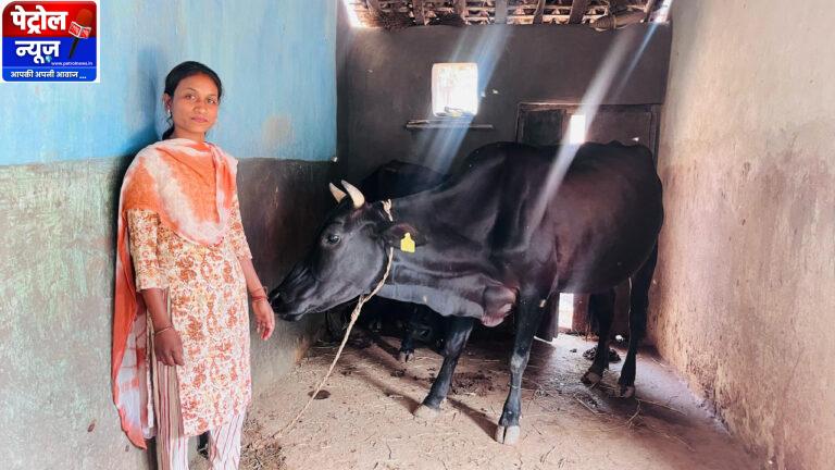 उन्नत नस्ल की गायों ने बदली सरस्वती पैंकरा की जिंदगी, बनीं आत्मनिर्भरता की मिसाल