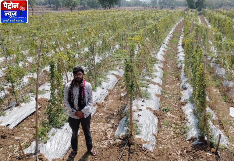 करेले की खेती ने बदली तकदीर धान से सात गुना अधिक हुई आय