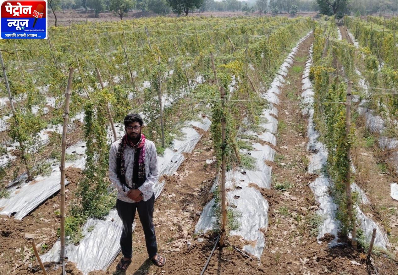 करेले की खेती ने बदली तकदीर धान से सात गुना अधिक हुई आय