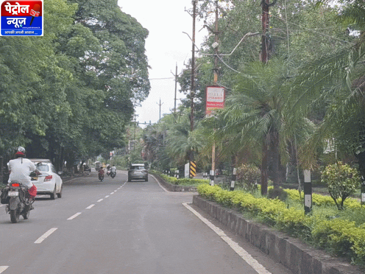 Madhya Pradesh Leads India in Highway Green Cover