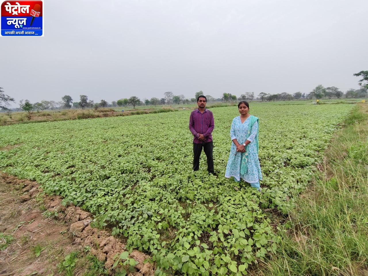 फसल विविधीकरण बना आर्थिक समृद्धि का आधार