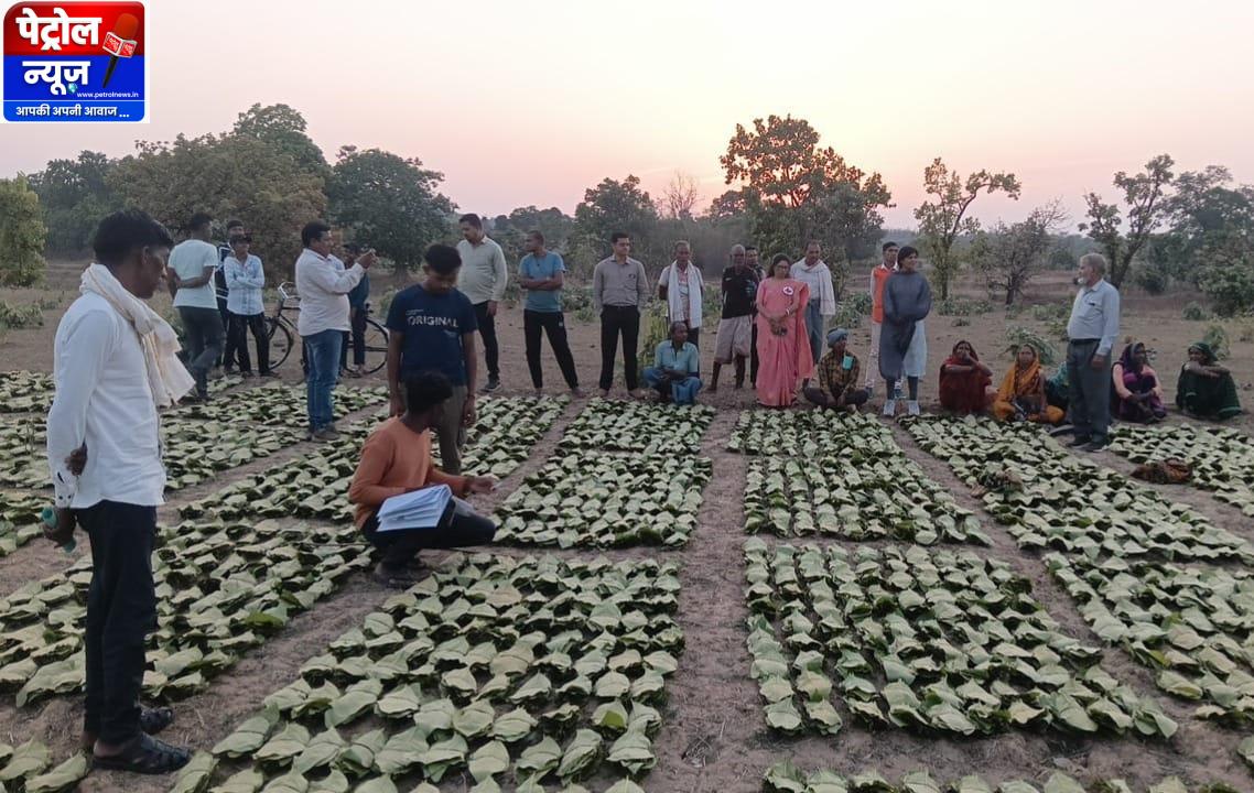 साय सरकार के सुशासन में तेन्दूपत्ता संग्राहकों को मिली आर्थिक मजबूती, 10,160 हितग्राहियों के खातों में पहुँची 1.39 करोड़ रुपये से अधिक की बोनस राशि