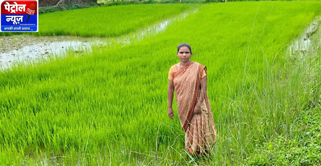 महिलाओं की सामूहिक ताकत से महका एमसीबी का जीराफूल धान