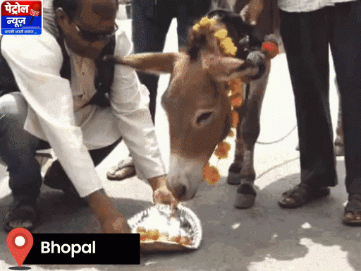 भारी बारिश की चेतावनी छतरपुर पन्ना