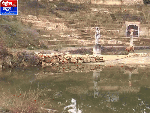 नकली खंडहरों से इटली में एक व्यक्ति ने पर्यटकों को ठगा