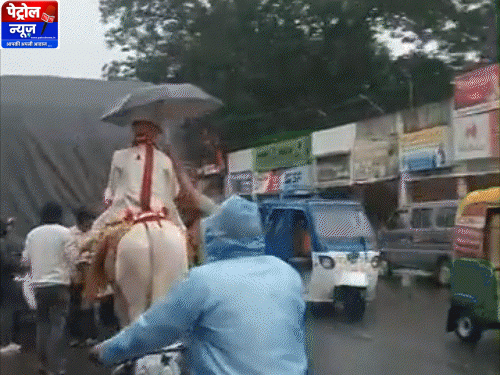 कर्ज वसूलने के लिए आदमी पेड़ से उल्टा लटक गया