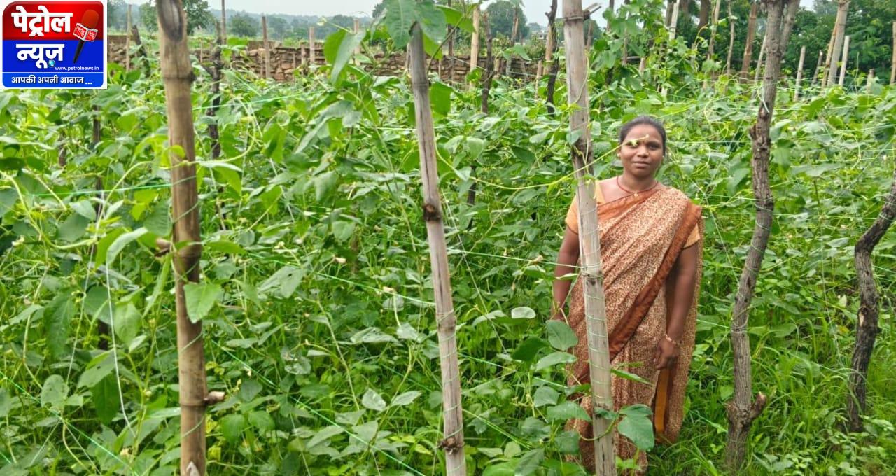 वैज्ञानिक खेती का कमाल: घुटरा की विमला दीदी ने बरबटी उत्पादन में रचा नया कीर्तिमान