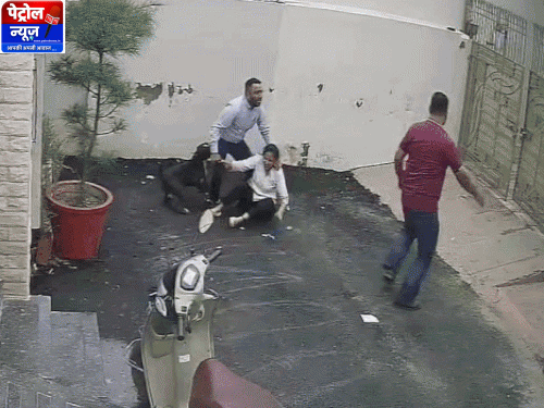 Patiala Pitbull Attack: Couple Mauled During House Visit; FIR Registered