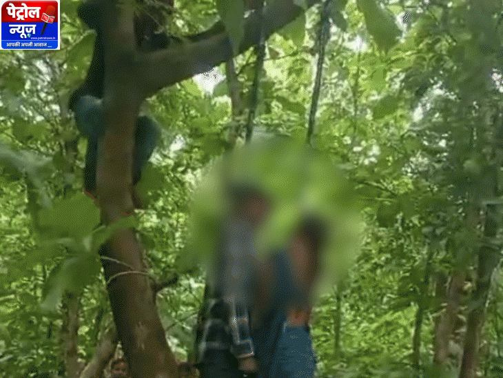 Raisen Forest Suicide Case: Rupesh and Pinky Kushwah Found Hanging