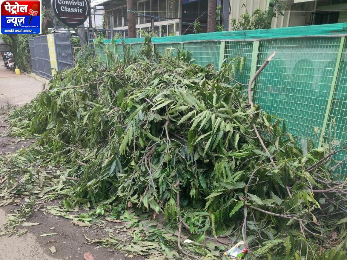 Bhopal Municipal Corporation Fines Firm for Illegal Tree Cutting