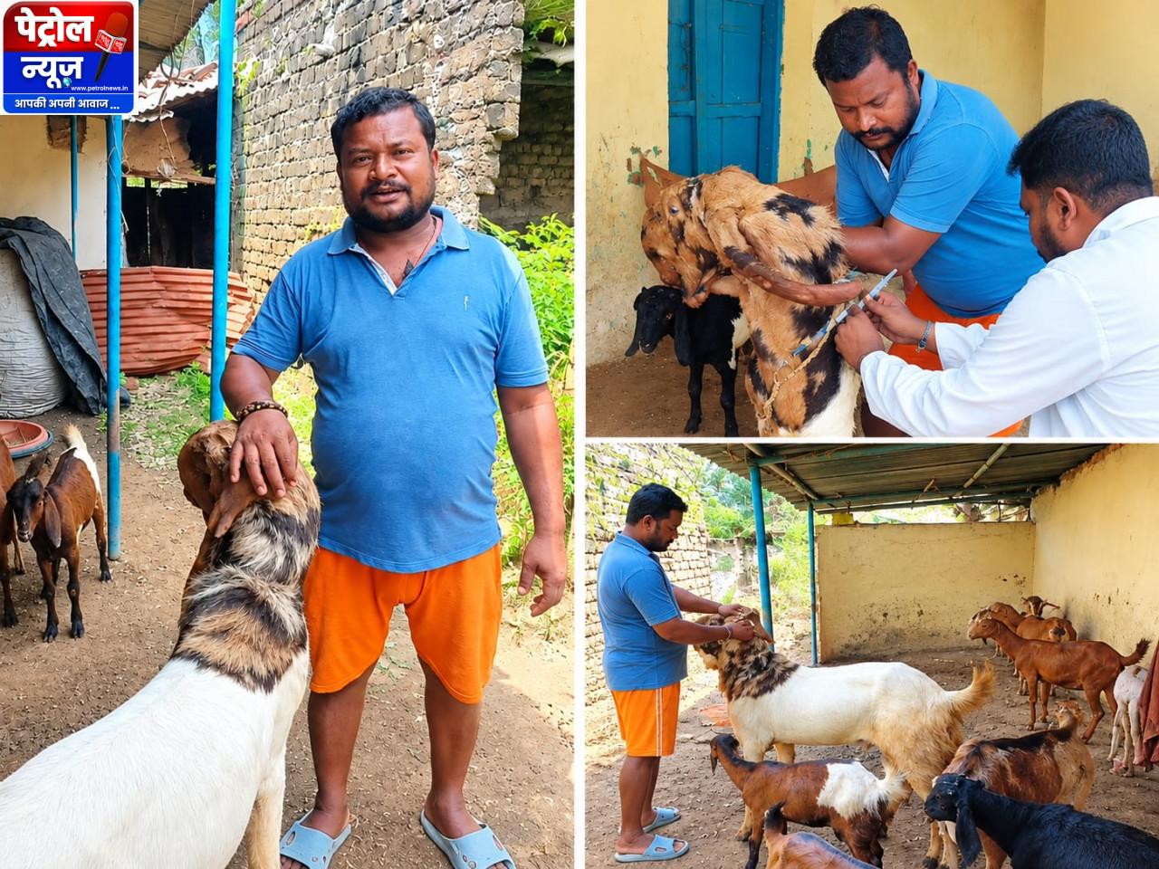 1-2 बकरियों से शुरू किया सफर, बकरी पालन से अब तक 5-6 लाख रुपये की शुद्ध कमाई
