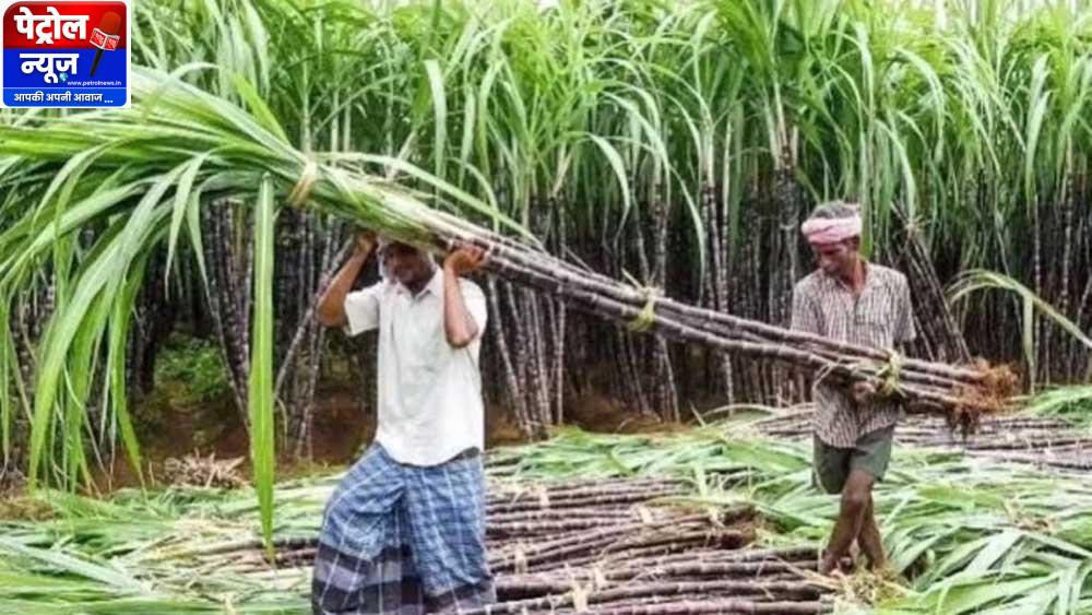 52 लाख की सब्सिडी के बावजूद नहीं मिले खरीदार, MP के 8 जिलों में फिर शुरू हुए हाईटेक गन्ना हब के आवेदन