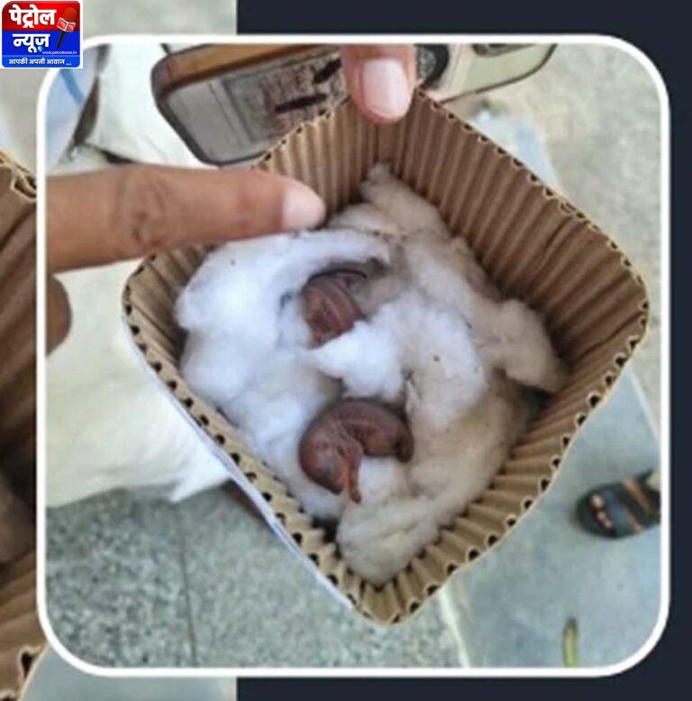 गिलहरी के बच्चों को बचाने 15 किमी दूर पहुंचे गंगा सिंह
