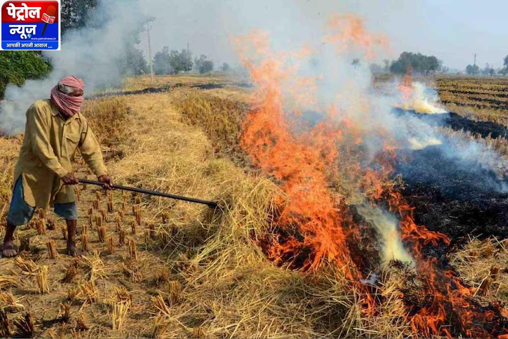 जबलपुर में नरवाई जलाने पर 15 हजार रुपये तक जुर्माना, 60 दिन का प्रतिबंध लागू