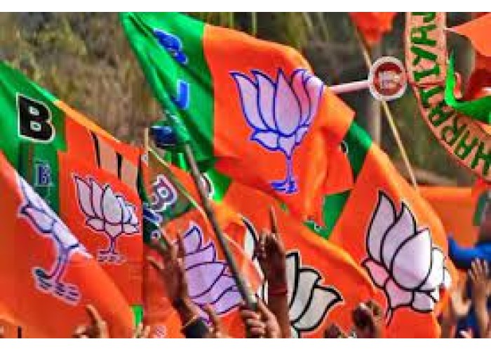 उत्तर प्रदेश में भाजपा ने जीती 33 लोकसभा सीटें जीती